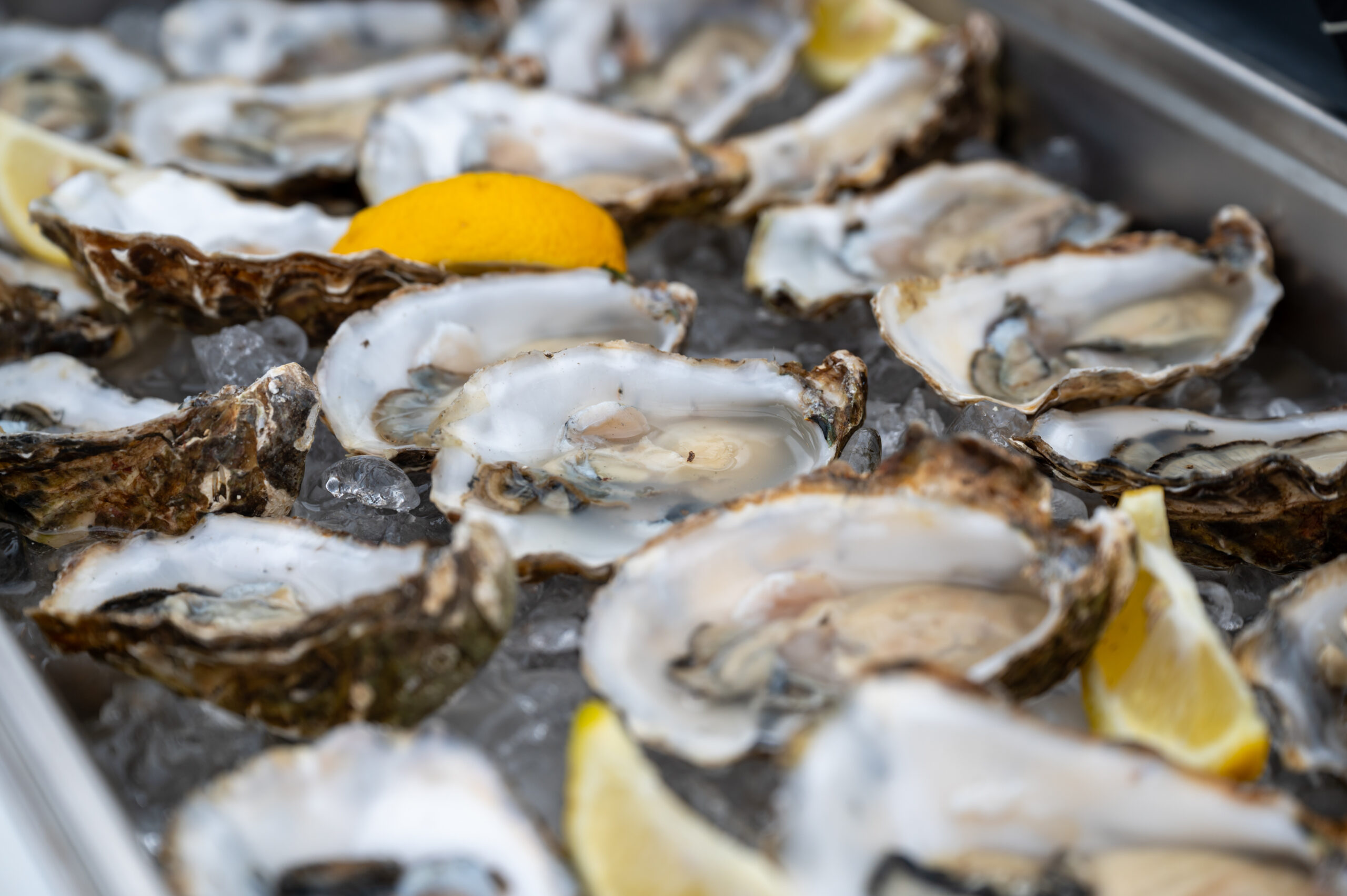 Oesters van De Oesterbazen